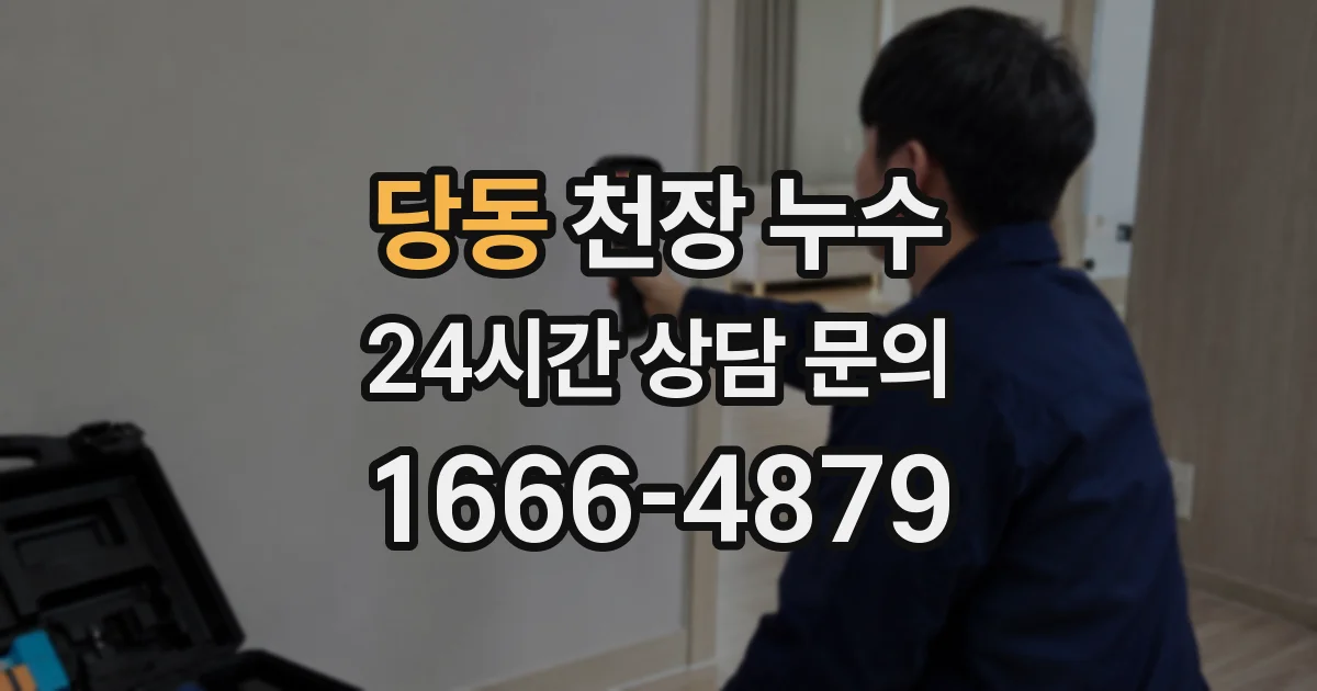 당동 천장 누수