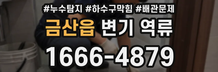 금산읍 변기 역류