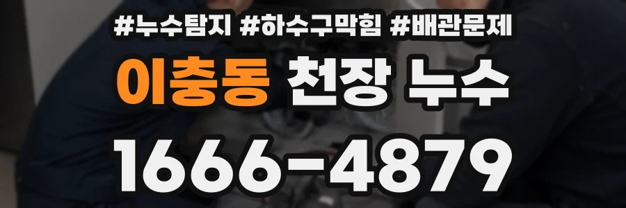 이충동 천장 누수