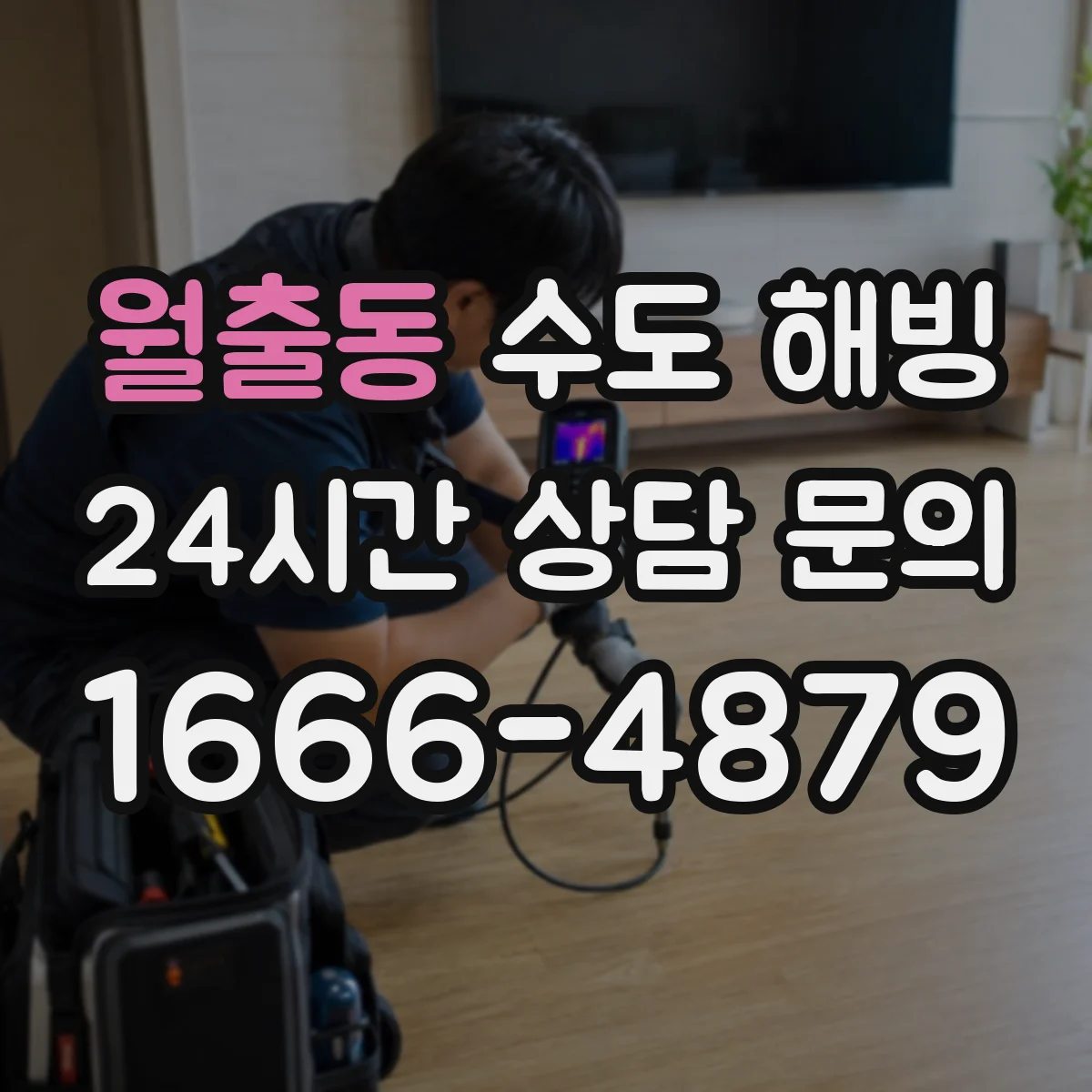 월출동 수도 해빙