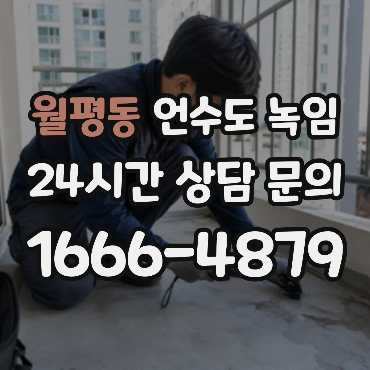 월평동 언수도 녹임