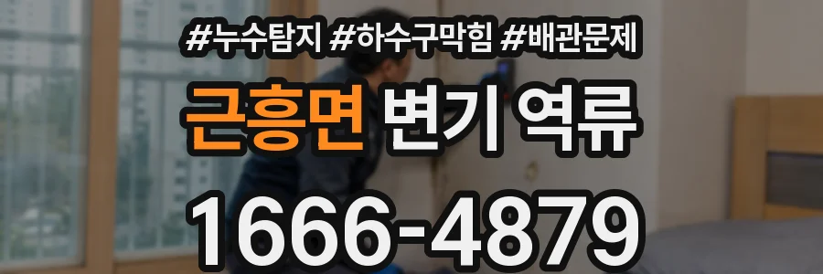 근흥면 변기 역류
