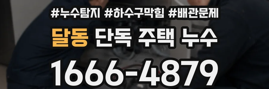 달동 단독 주택 누수