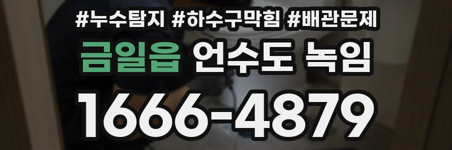 금일읍 언수도 녹임