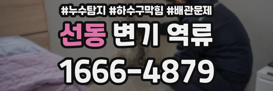 선동 변기 역류