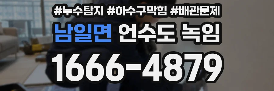 남일면 언수도 녹임