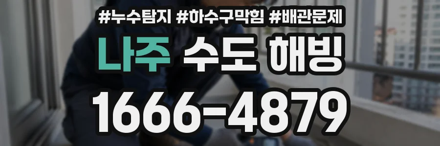 나주 수도 해빙