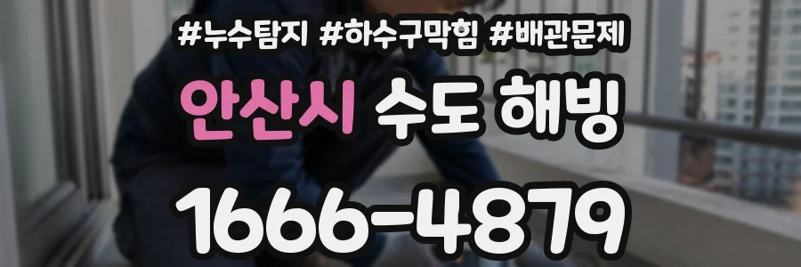 안산시 수도 해빙