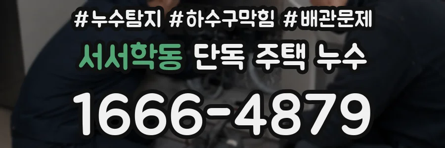 서서학동 단독 주택 누수