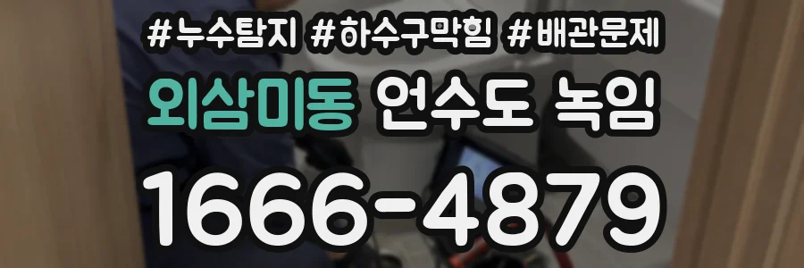 외삼미동 언수도 녹임