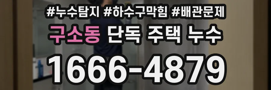 구소동 단독 주택 누수
