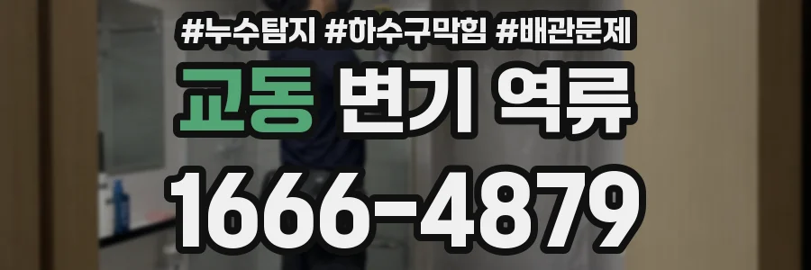 교동 변기 역류