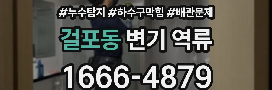 걸포동 변기 역류