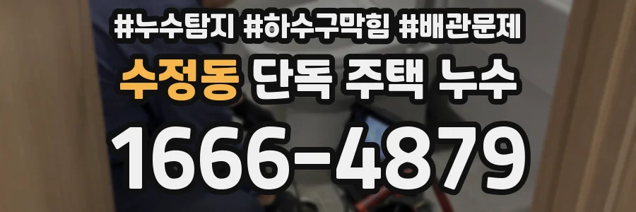 수정동 단독 주택 누수