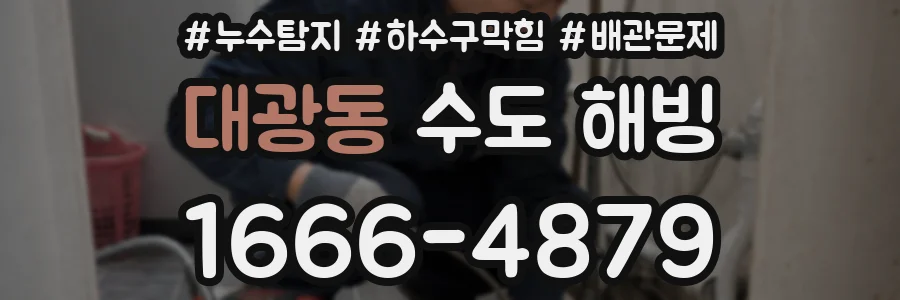 대광동 수도 해빙