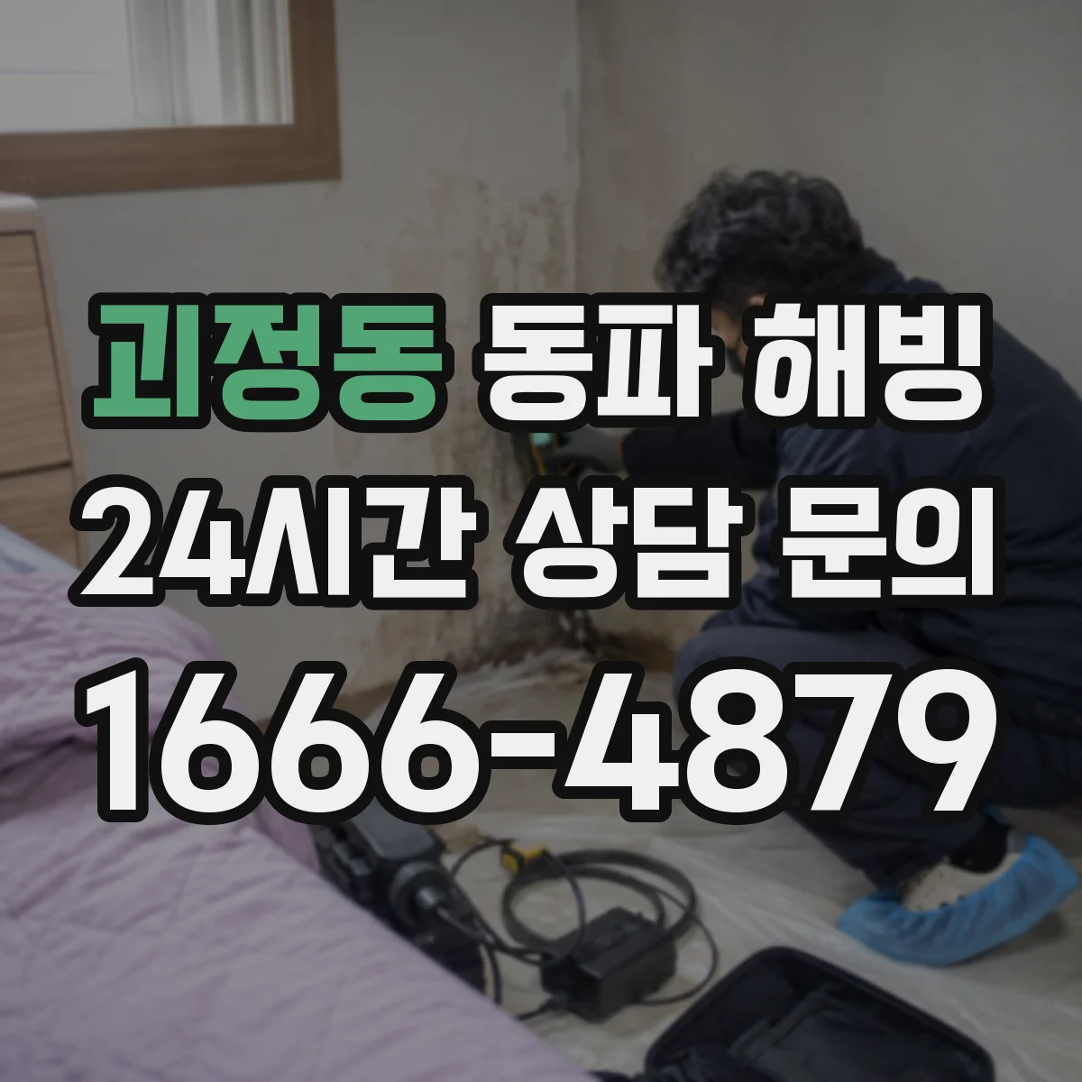 괴정동 동파 해빙