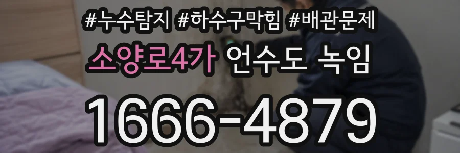 소양로4가 언수도 녹임