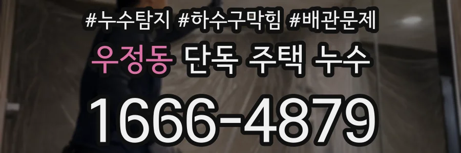 우정동 단독 주택 누수
