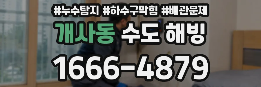 개사동 수도 해빙