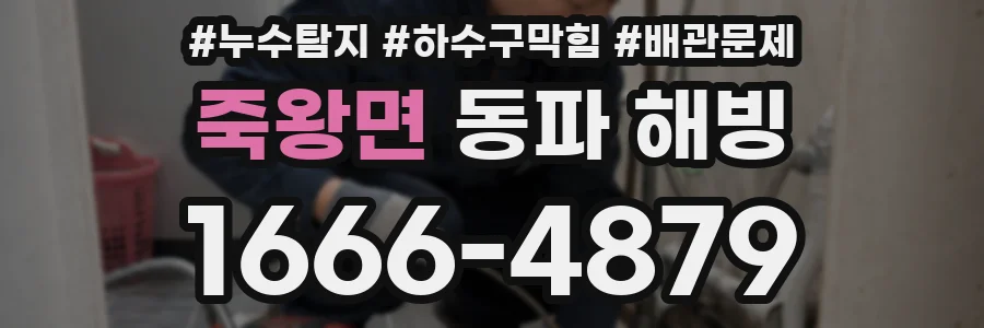 죽왕면 동파 해빙