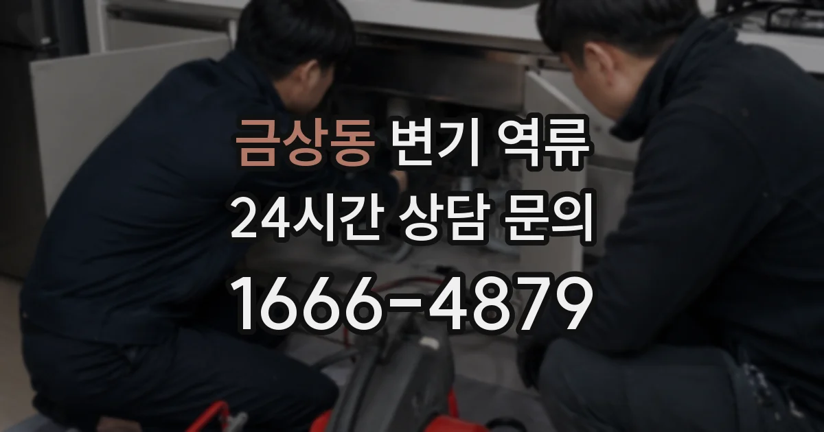 금상동 변기 역류
