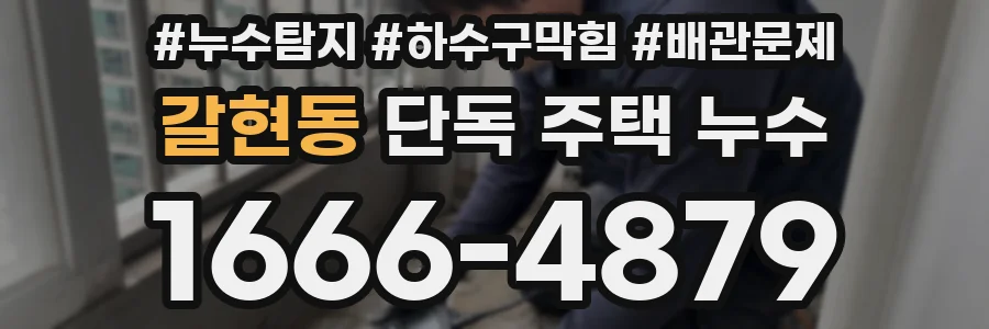 갈현동 단독 주택 누수