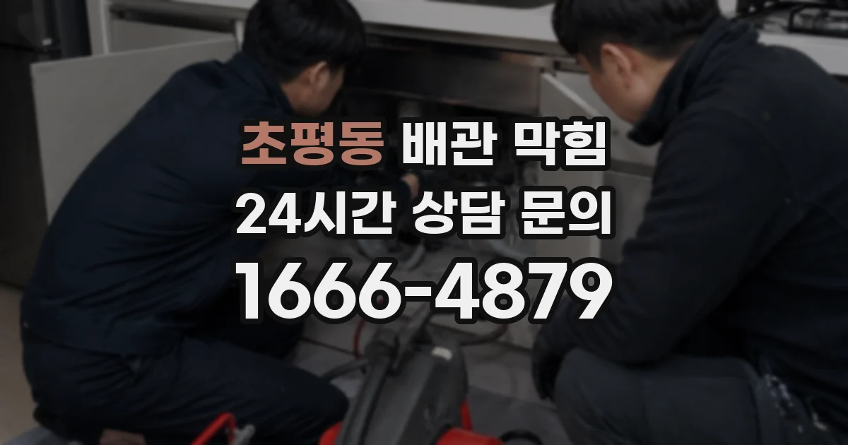 초평동 배관 막힘