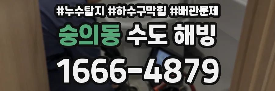 숭의동 수도 해빙