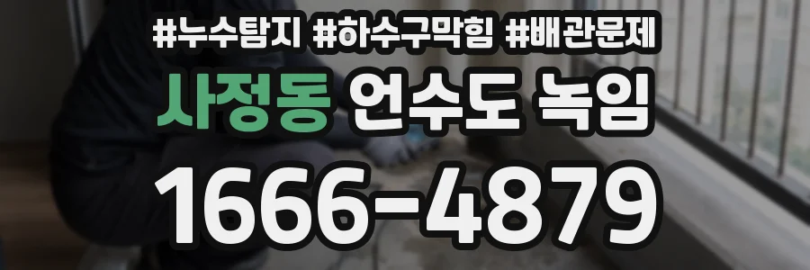 사정동 언수도 녹임
