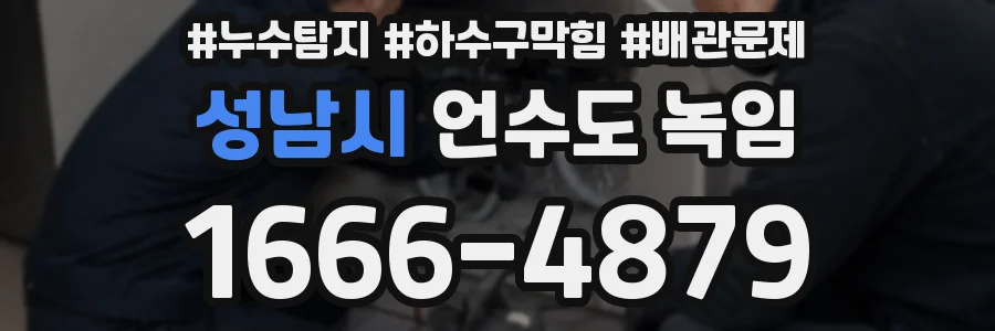 성남시 언수도 녹임
