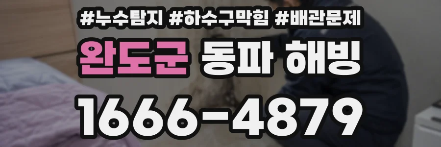 완도군 동파 해빙