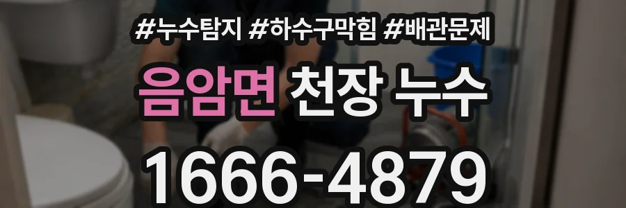 음암면 천장 누수