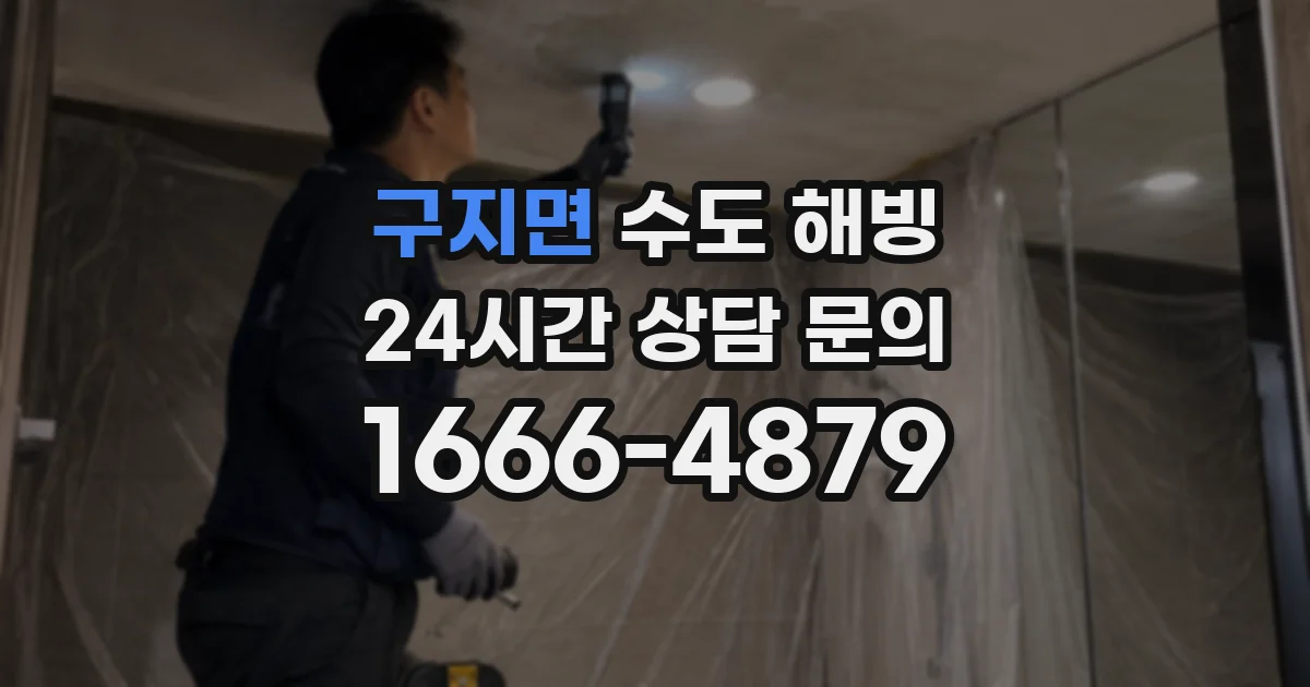 구지면 수도 해빙