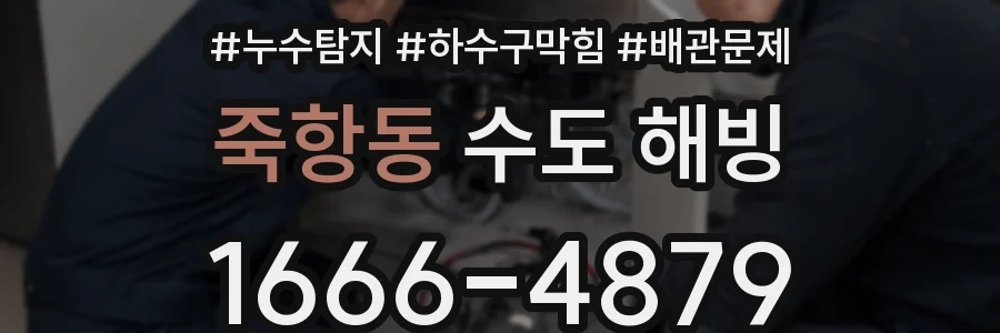 죽항동 수도 해빙