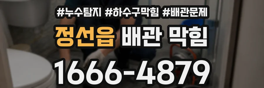 정선읍 배관 막힘