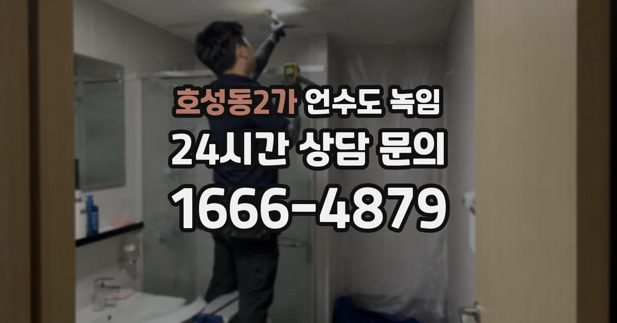 호성동2가 언수도 녹임