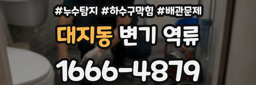 대지동 변기 역류