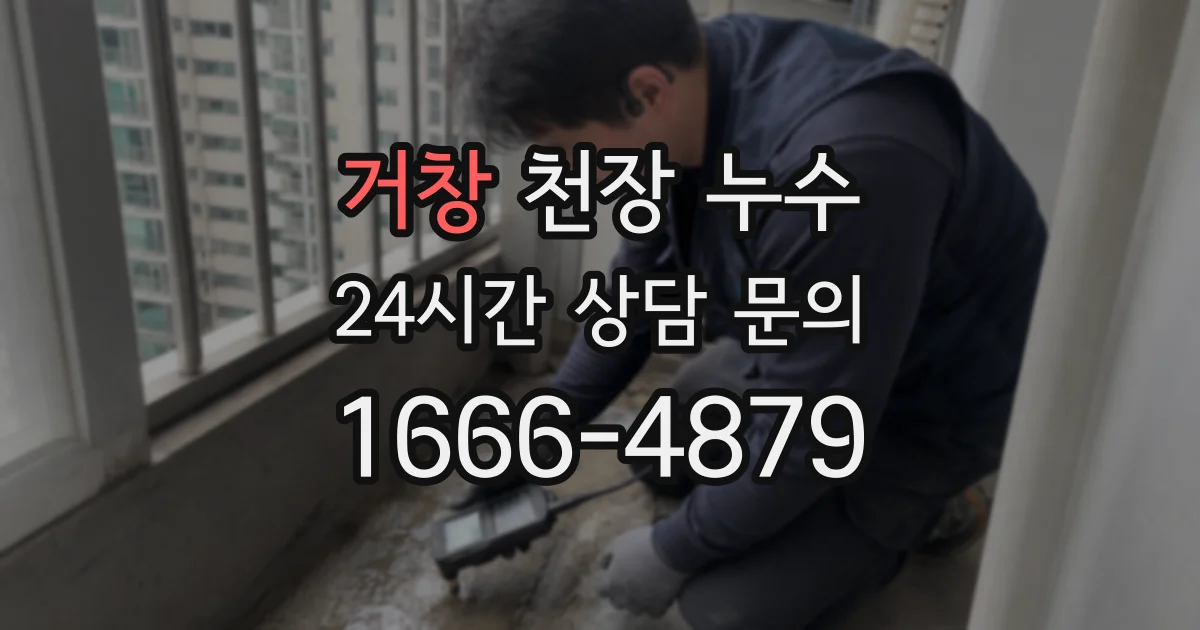 거창 천장 누수