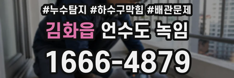 김화읍 언수도 녹임