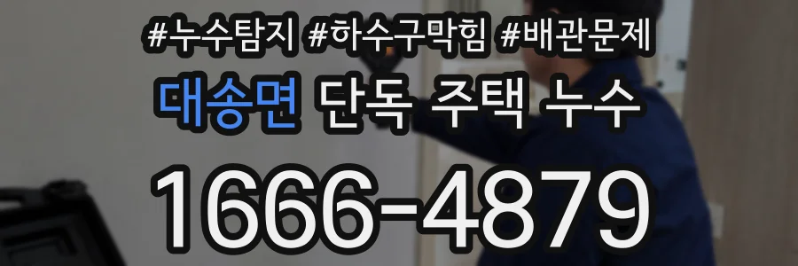 대송면 단독 주택 누수