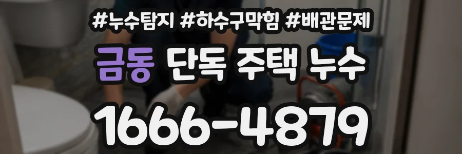 금동 단독 주택 누수