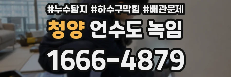 청양 언수도 녹임