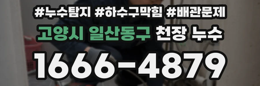 고양시 일산동구 천장 누수