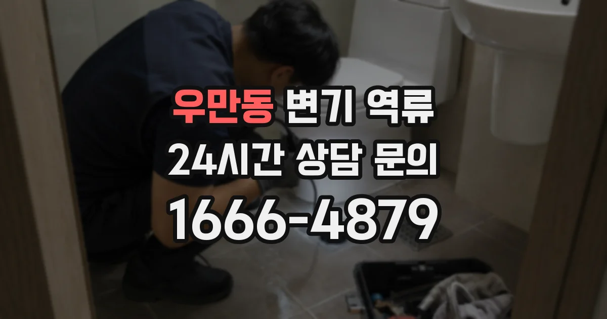우만동 변기 역류