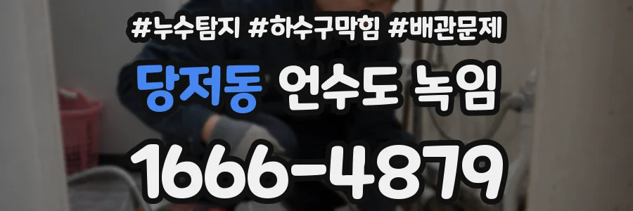 당저동 언수도 녹임