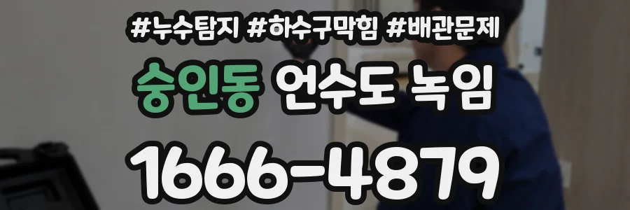 숭인동 언수도 녹임
