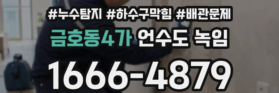 금호동4가 언수도 녹임