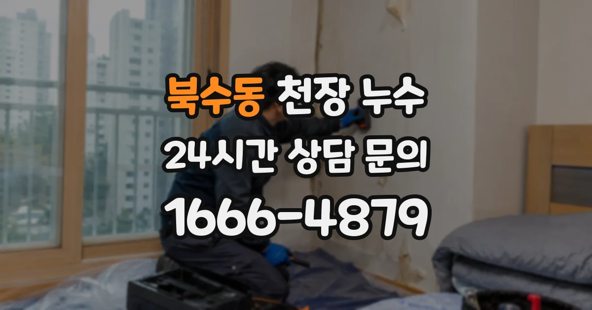 북수동 천장 누수