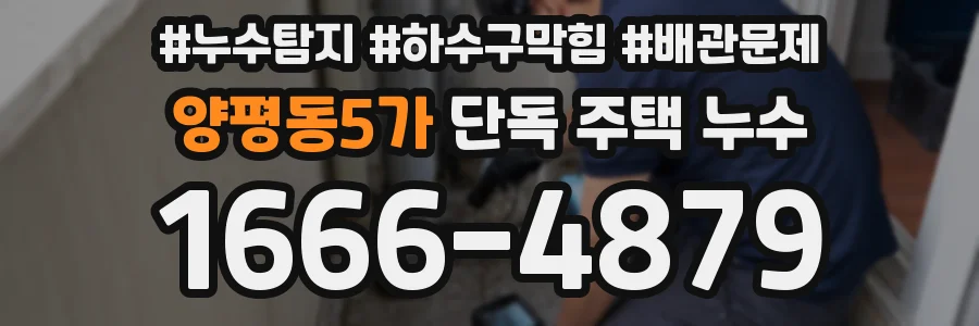 양평동5가 단독 주택 누수