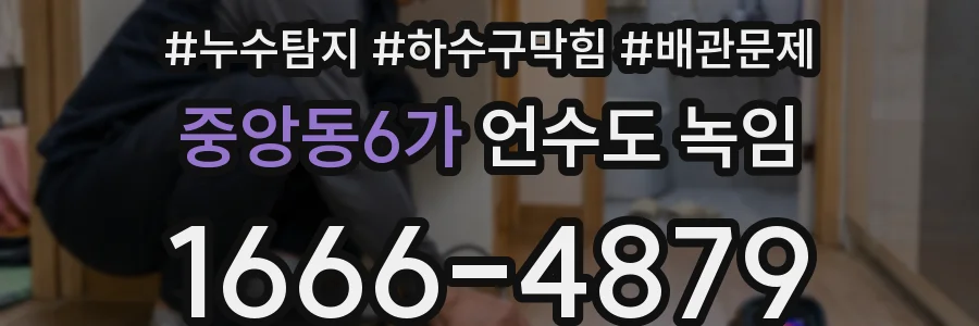 중앙동6가 언수도 녹임